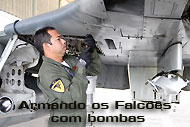 Armando-os-Falcões-com-bombas