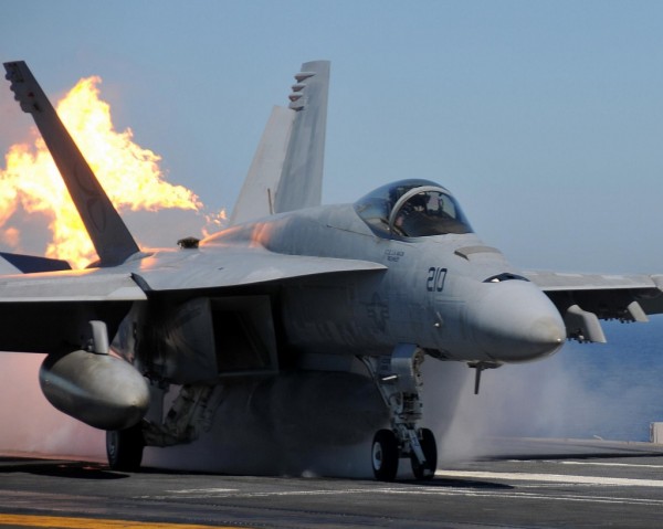 F-18 Hornet  (1)
