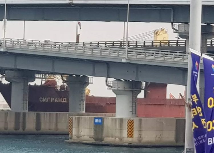 Navio cargueiro russo de 6 mil toneladas causou danos ao bater em ponte na Coreia do Sul — Foto: Associated Press