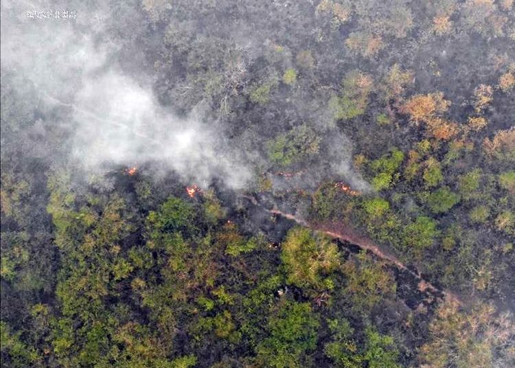 Helicóptero da Força Nacional cai em Pantanal durante combate aos incêndios — Foto: CBM/Ciman