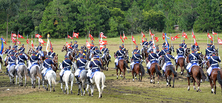 Arma de Cavalaria do Exército celebra 215 anos do Marechal Osorio -  DefesaNet